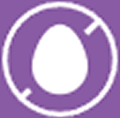 Egg Free